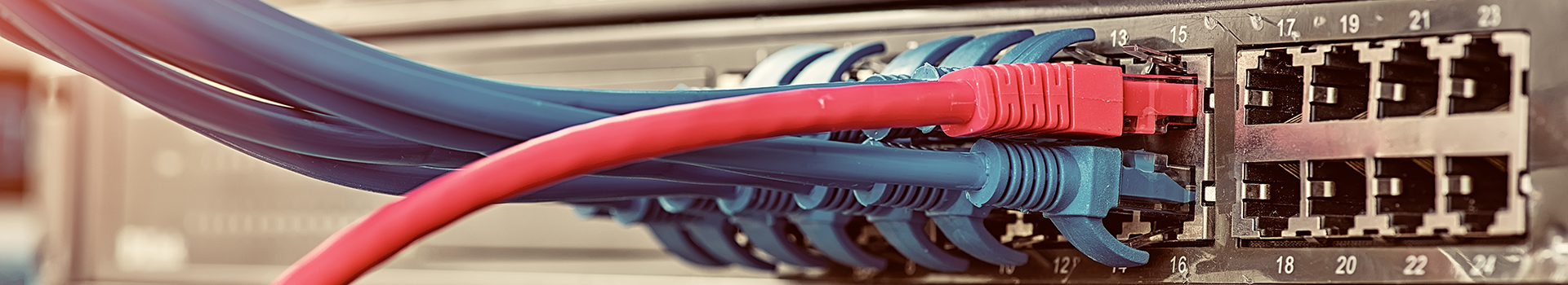 Computer Specialist: Networking: A computer network is a group of connected devices—such as computers, servers, printers, phones, and cameras—that communicate with each other to share data, resources, and services.